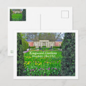 PAARSE EN GEEL TULIP GARDEN, KINGWOOD GARDENS BRIEFKAART (Voorkant / Achterkant)