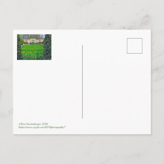 PAARSE EN GEEL TULIP GARDEN, KINGWOOD GARDENS BRIEFKAART (Achterkant)