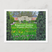 PAARSE EN GEEL TULIP GARDEN, KINGWOOD GARDENS BRIEFKAART (Voorkant)