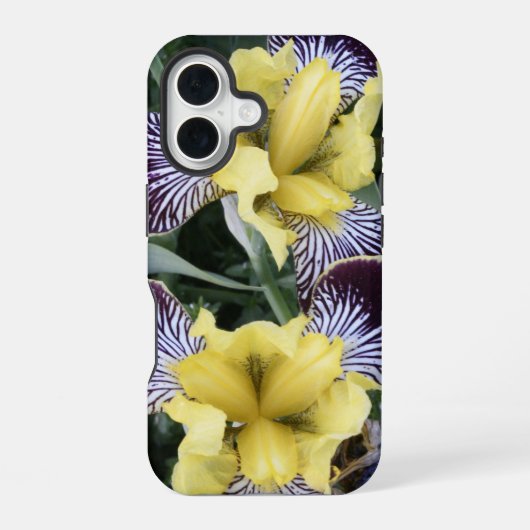 Paarse en Gele Bearless Irissen Bloemen iPhone 16 Hoesje (Achterkant)
