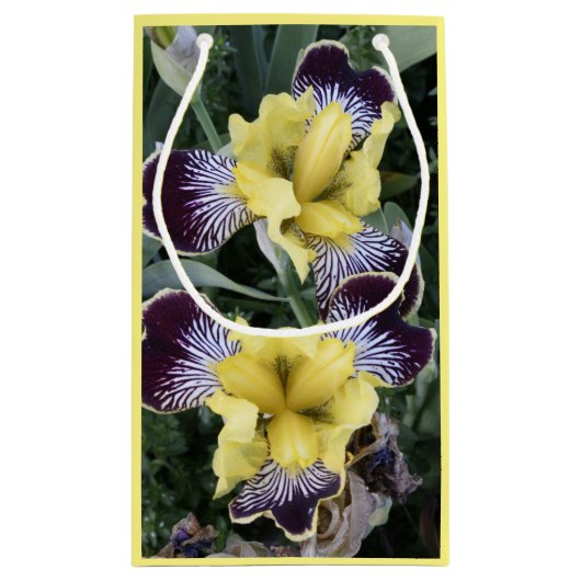 Paarse en Gele Bearless Irissen Bloemen Klein Cadeauzakje (Achterkant)