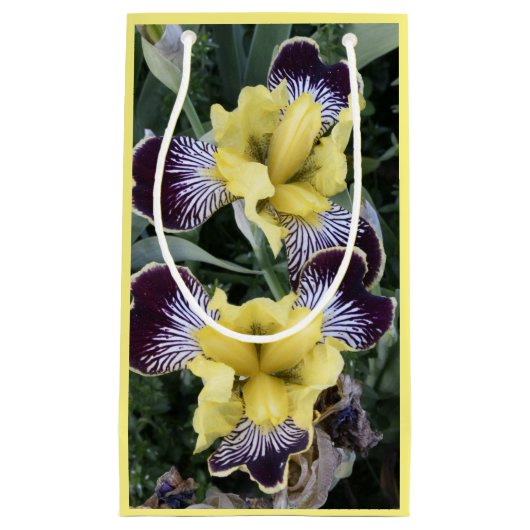 Paarse en Gele Bearless Irissen Bloemen Klein Cadeauzakje (Voorkant)