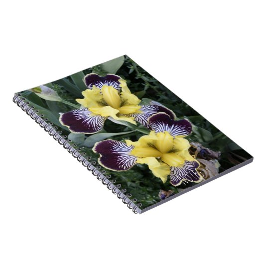 Paarse en Gele Bearless Irissen Bloemen Notitieboek (Rechterzijde)