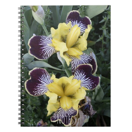 Paarse en Gele Bearless Irissen Bloemen Notitieboek (Voorkant)