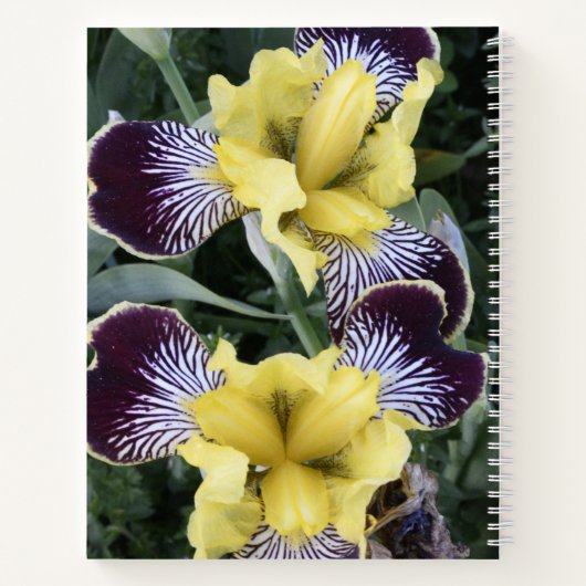 Paarse en Gele Bearless Irissen Bloemen Notitieboek (Achterkant)