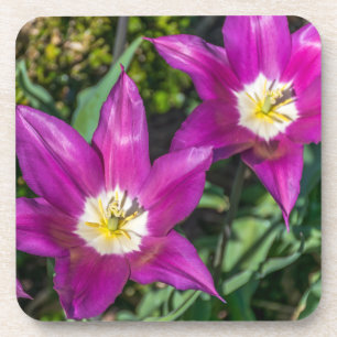 Paarse en gele bloemen harde plastic onderzetters