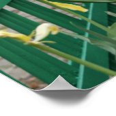 Paarse en gele bloemen. poster (Hoek)