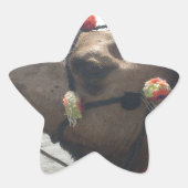 Paarse en gele caleidoscoop ster sticker (Voorkant)