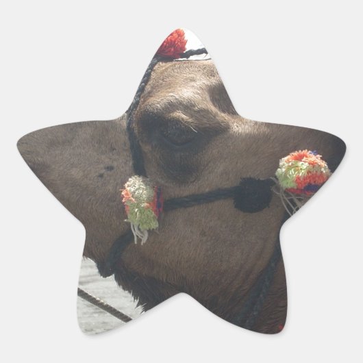 Paarse en gele caleidoscoop ster sticker (Voorkant)