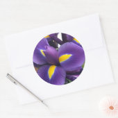 Paarse en gele IRIEN Ronde Sticker (Envelop)