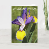 Paarse en Gele Iris Bloemen Felicitaties Kaart (Voorkant)