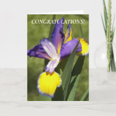 Paarse en gele Iris Floral gefeliciteerd Kaart (Voorkant)
