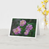 Paarse en Gele Lantana Bloemen Kaart (Gele Bloem)