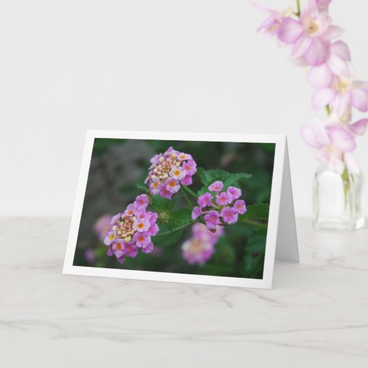 Paarse en gele Lantana Flowers Kaart (Orchidee)