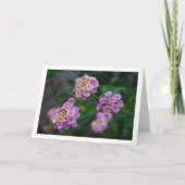 Paarse en gele Lantana Flowers Kaart (Voorkant)