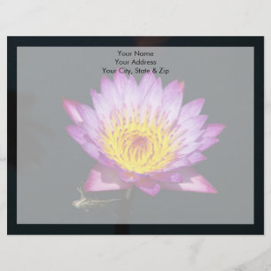 Paarse en gele lotus met libellennimf briefhoofd sjabloon