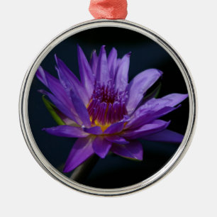 Paarse en gele Lotus Waterlily Flower Metalen Ornament