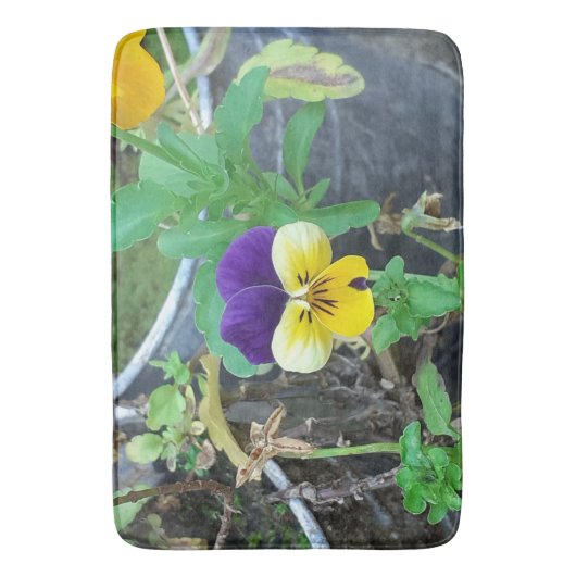 Paarse en gele Pansy Badmat (Voorkant Verticaal)