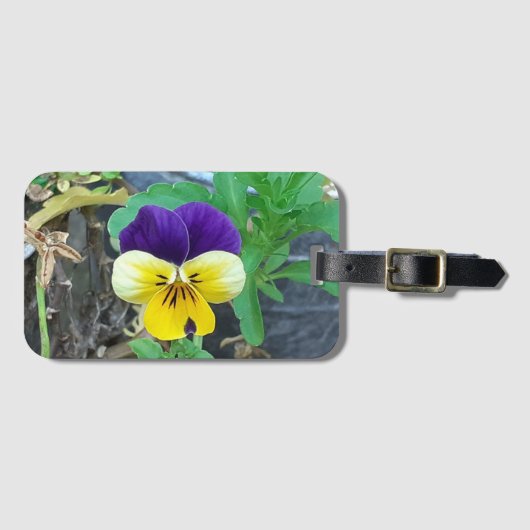 Paarse en gele Pansy Bagagelabel (Voorkant (horizontaal))