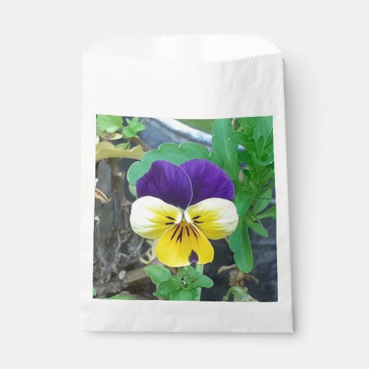 Paarse en gele Pansy Bedankzakje (Voorkant)