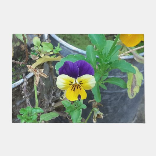 Paarse en gele Pansy  Deurmat (Voorkant)
