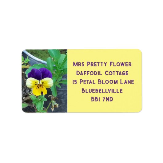 Paarse en gele Pansy Etiket (Voorkant)