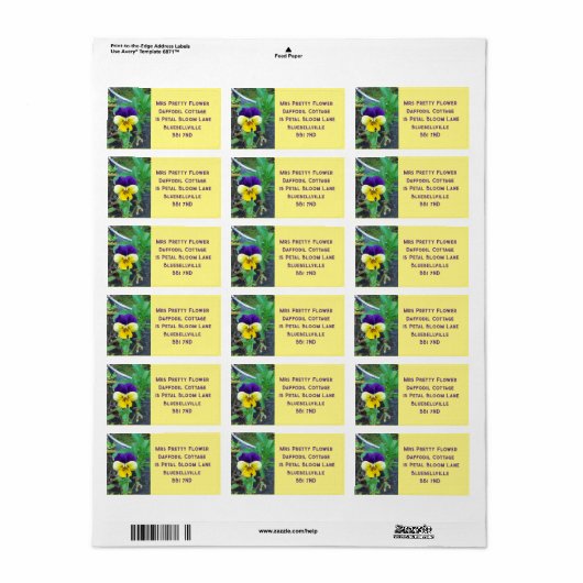 Paarse en gele Pansy Etiket (Full Sheet)