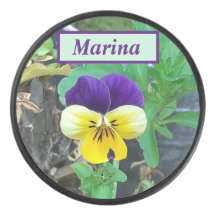 Paarse en gele Pansy