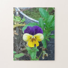 Paarse en gele Pansy Jigzaag Puzzle Legpuzzel
