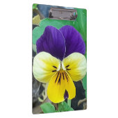 Paarse en gele Pansy Klembord (Rechts)