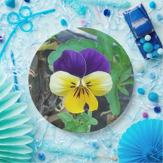 Paarse en gele Pansy Papieren Bordje (Feest)
