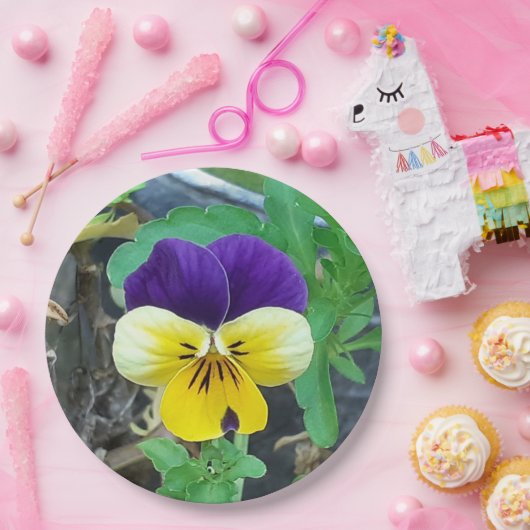 Paarse en gele Pansy Papieren Bordje (Feest)