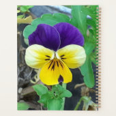 Paarse en gele Pansy Planner (Achterkant)