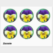 Paarse en gele Pansy Ronde Sticker (Vel)