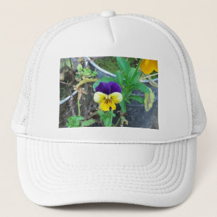 Paarse en gele Pansy Trucker Pet