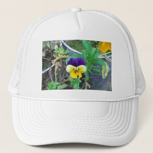 Paarse en gele Pansy Trucker Pet (Voorkant)