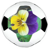 Paarse en gele Pansy Voetbal (Gedraaid)