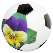 Paarse en gele Pansy Voetbal (Drie kwart)