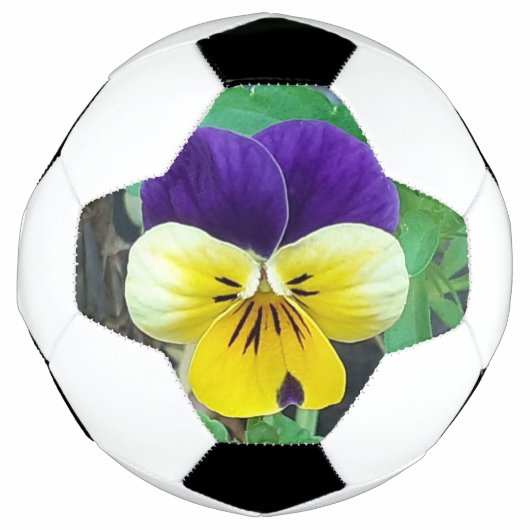 Paarse en gele Pansy Voetbal (Voorkant)