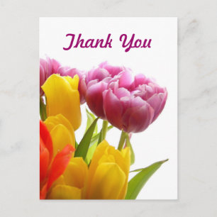 Paarse en gele Tulpen Dank u Briefkaarten
