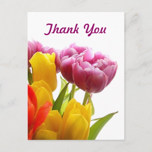 Paarse en gele Tulpen Dank u Briefkaarten (Voorkant)