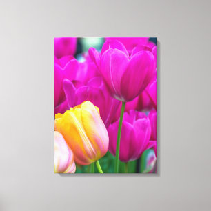 Paarse en gele tulpen van dichtbij canvasprint canvas afdruk