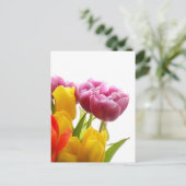 Paarse en gele TulpenBriefkaarten Briefkaart (Staand voorkant)