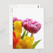 Paarse en gele TulpenBriefkaarten Briefkaart (Voorkant / Achterkant)