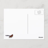 Paarse en Gele Viola's Kleurrijke Bloemen Briefkaart (Achterkant)