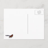 Paarse en Gele Viola's Kleurrijke Bloemen Briefkaart (Achterkant)