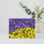 Paarse en Gele Viola's Kleurrijke Bloemen Briefkaart (Staand voorkant)