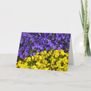 Paarse en Gele Viola's Kleurrijke Bloemen Kaart