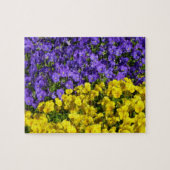 Paarse en Gele Viola's Kleurrijke Bloemen Legpuzzel (Horizontaal)