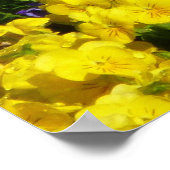 Paarse en Gele Viola's Kleurrijke Bloemen Poster (Hoek)